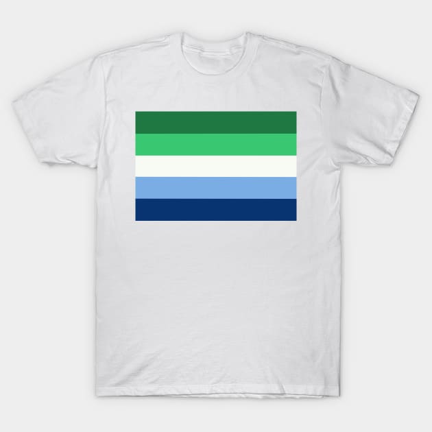 Gay Male Pride Flag T-Shirt by JustGottaDraw